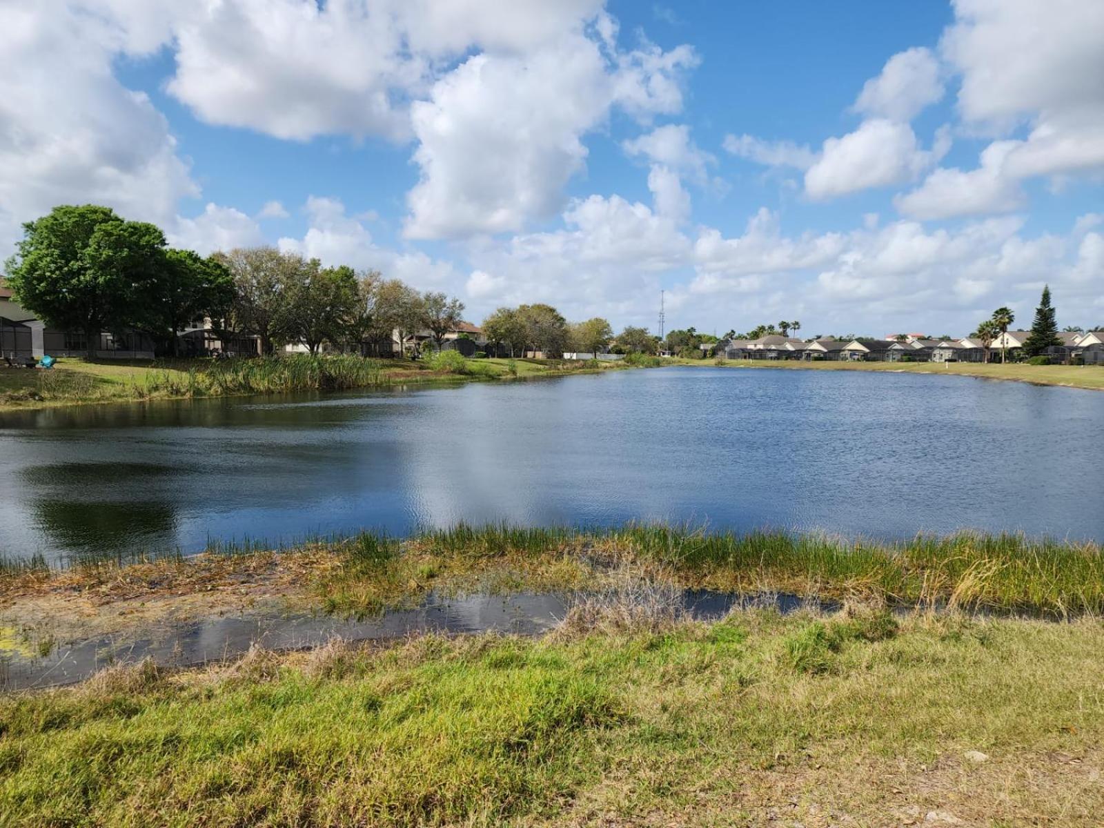 Scuttle Vacation Pool Home Wspa オーランド エクステリア 写真